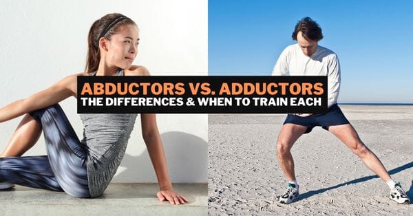 abductors vs adductors the difference and when to train each