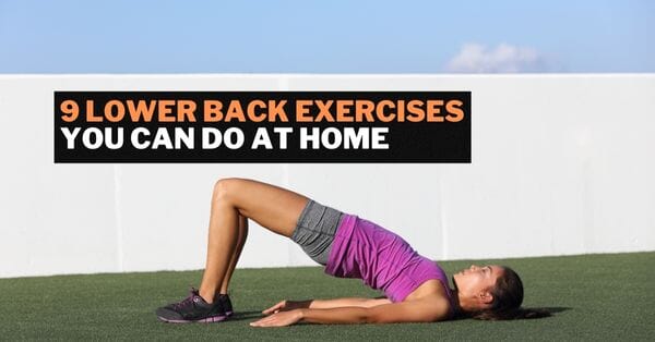 lower back exercises you can do at home